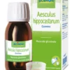 AESCULUS HIPPOCASTANUM GEMME MACERATO GLICERICO 60 ML