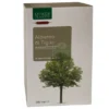 ALBURNO TIGLIO BIO 20 AMPOLLE BEVIBILI DA 15 ML