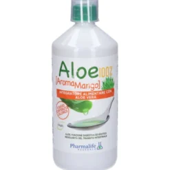 ALOE 100% AROMA MANGO 1 LITRO