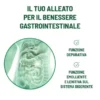 Aloe Vera Extra 99,5% 1 Litro Pack X2