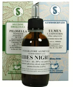 AMAMELIDE 100ML TINTURA MADRE