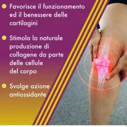 AMEDIAL PLUS 20 BUSTINE 5 G