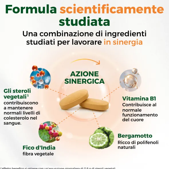 ARMOLIPID COLESTEROLO PLUS 30 COMPRESSE