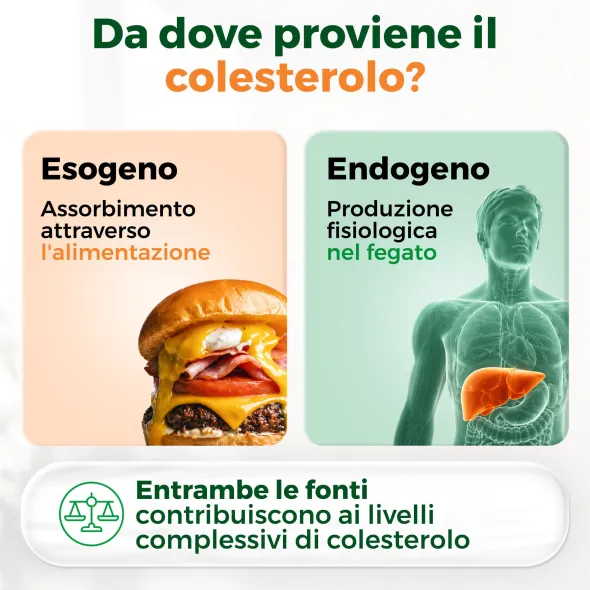 ARMOLIPID COLESTEROLO PLUS 30 COMPRESSE