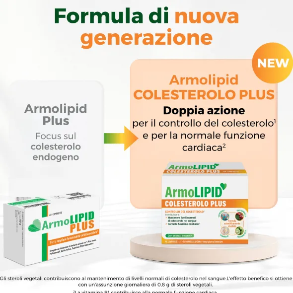 ARMOLIPID COLESTEROLO PLUS 60 COMPRESSE