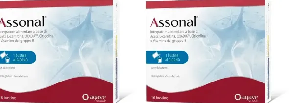 ASSONAL 16 BUSTINE Pack da 2