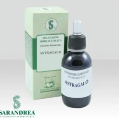 ASTRAGALO 100ML TINTURA MADRE