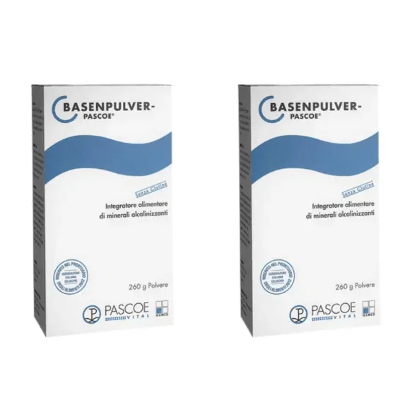 BASENPULVER POLVERE 260 G PASCOE Pack x2