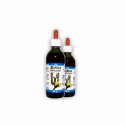 BETULA PUBESCENS 50 ML MACERATO GLICERICO