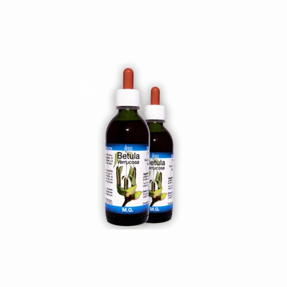 BETULA PUBESCENS 50 ML MACERATO GLICERICO