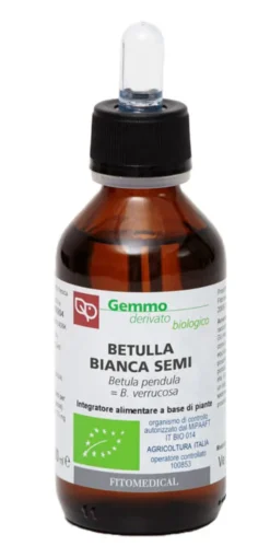 BETULLA BIANCA SEMI MACERATO GLICERICO 100 ML BIO