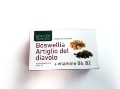 BOSWELLIA ARTIGLIO DIAVOLO VITAMINE B6 B2 60 CAPSULE DA 0,74 G