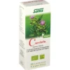 CARCIOFO SUCCO 200 ML BIO