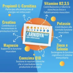 CARNIDYN FAST 20 BUSTINE