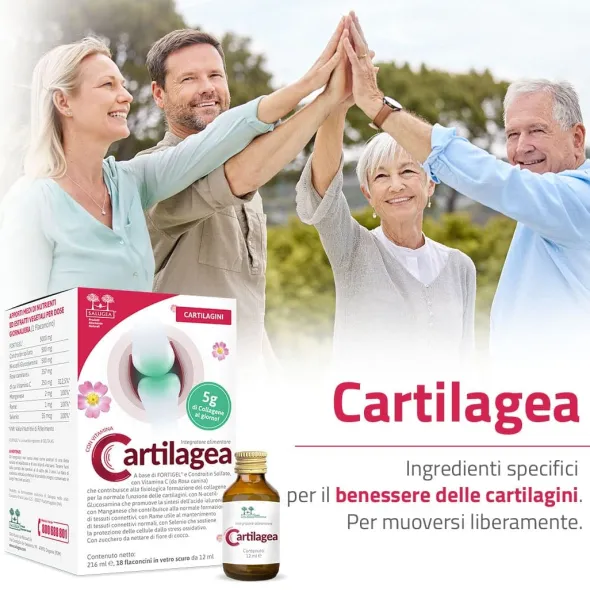CARTILAGEA SALUGEA 18 FLACONCINI DA 12 ML