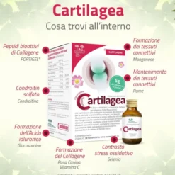 CARTILAGEA SALUGEA 18 FLACONCINI DA 12 ML