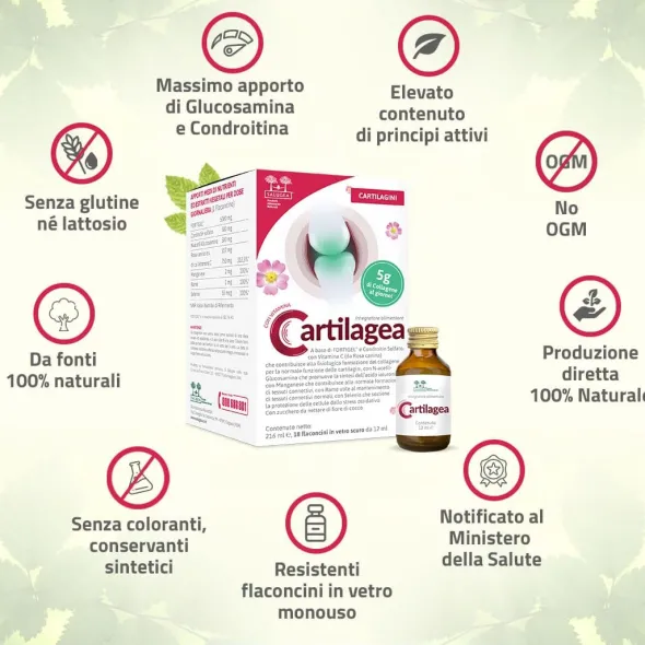 CARTILAGEA SALUGEA 18 FLACONCINI DA 12 ML