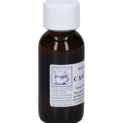 CASTANEA VESCA 60 ML MACERATO GLICERICO