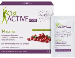 CIST ACTIVE BUSTINE 14 BUSTINE