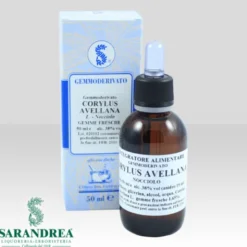 CORYLUS AVELLANA 100 ML MACERATO GLICERICO