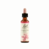 CRAB APPLE BACH ORIG 20 ML