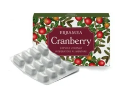 CRANBERRY 24 CAPSULE