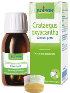 CRATAEGUS BOIRON MACERATO GLICERICO 60 ML