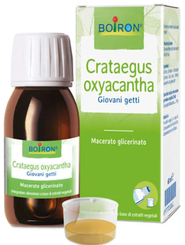 CRATAEGUS BOIRON MACERATO GLICERICO 60 ML
