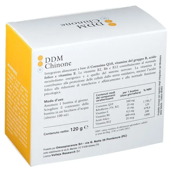 DDM CHINONE 30 BUSTINE