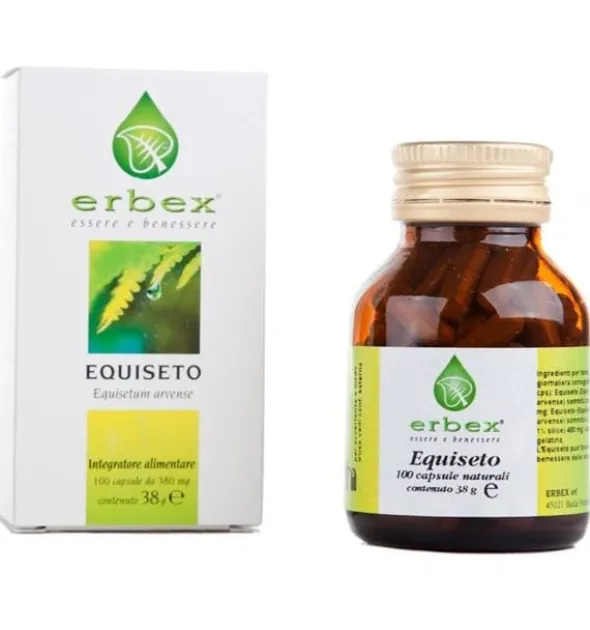 EQUISETO 100 CAPSULE 380MG
