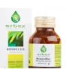 ERBEX BOSWELLIA 100 CAPSULE