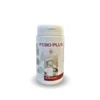 FEBO PLUS 100 CAPSULE