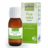 FICUS CARICA BOIRON MACERATO GLICERICO 60 ML
