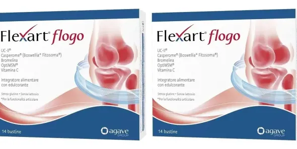FLEXART FLOGO 14 BUSTINE NUOVA FORMULAZIONE Pack da 2