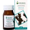 FUCUS 60 CAPSULE 500MG