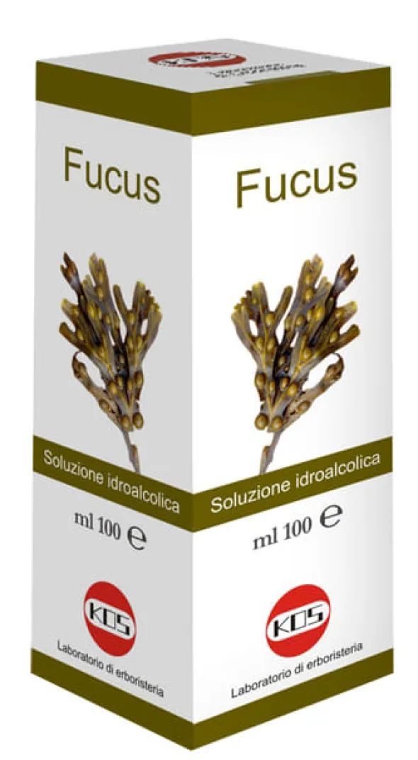 FUCUS SOLUZIONE IDROALCOLICA 100 ML