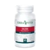 GALEGA 60 CAPSULE