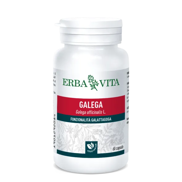 GALEGA 60 CAPSULE