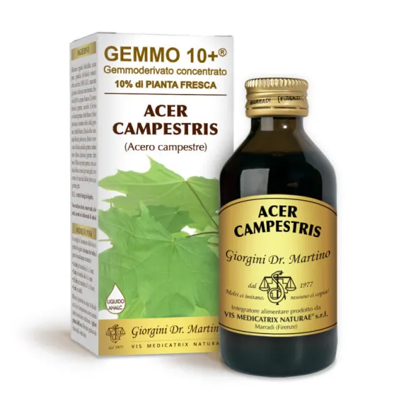 GEMMO 10+ ACERO CAMPESTRE 100 ML LIQUIDO ANALCOLICO