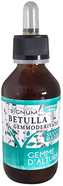 Gemmoderivato Betulla Gemme Sygnum in gocce, flacone 100ml