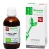 Gemmoderivato Castagno Mg Bio in gocce, flacone 50ml