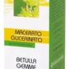 Gemmoderivato di Betulla Gemme macerato glicerinato 50ml