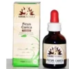 Gemmoderivato Ficus Carica per il benessere gastrico, 50ml