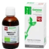 Gemmoderivato Mirtillo Rosso MG Bio in gocce, 50ml