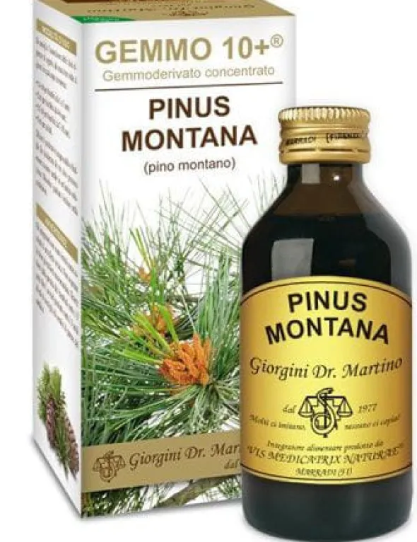 GEMMO 10+ PINO MONTANO 100 ML LIQUIDO ANALCOLICO