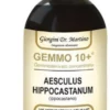GEMOO 10+ GEMMODERIVATO CONCENTRATO IPPOCASTANO LIQUIDO ANALCOLICO AESCULUS HIPPOCASTANUM IPPOCASTANO 500 ML