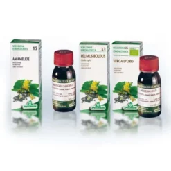 GINKGO BILOBA 64 50 ML TINTURA MADRE