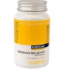 GINKGO SELENIO COMPLEX SD 70 CAPSULE