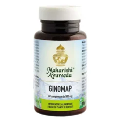 GINOMAP 60 COMPRESSE