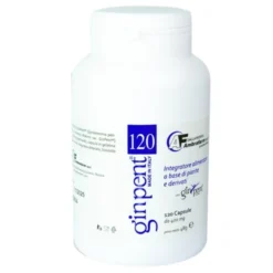 GINPENT 120 CAPSULE 400 MG